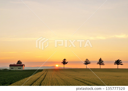 童話故事小山在北海道的黃昏 135777320