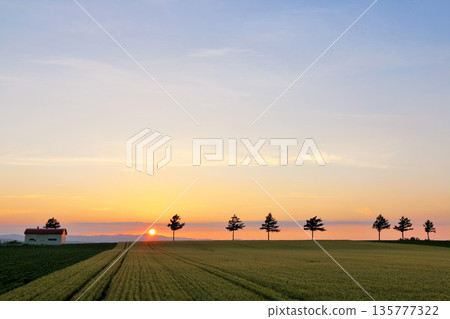 Hill of fairy tale at dusk of Hokkaido 135777322