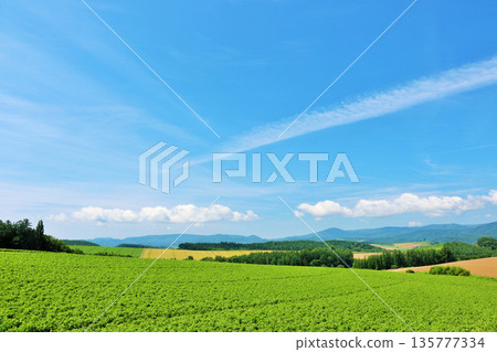 Hokkaido summer blue sky and Biei landscape Hokkaido summer blue sky and Biei landscape 135777334
