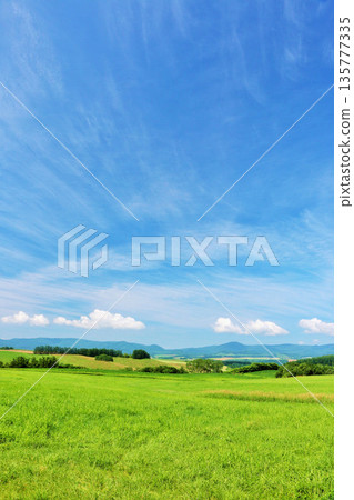 北海道夏天藍天和Biei風景 135777335