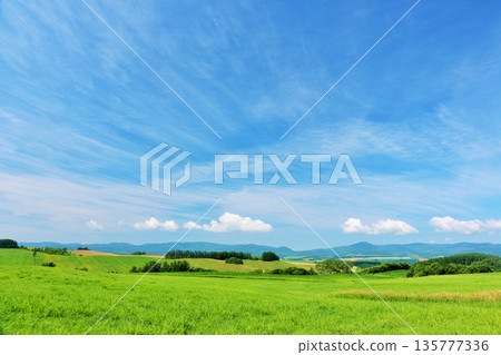 Hokkaido summer blue sky and Biei landscape 135777336