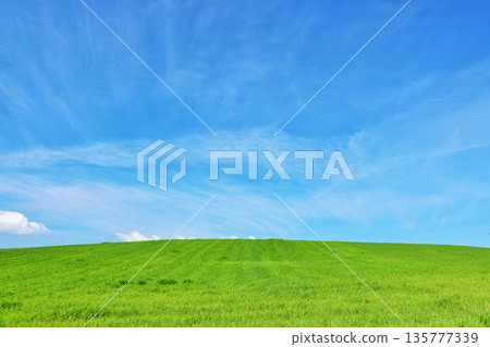 Hokkaido summer blue sky and Biei landscape 135777339