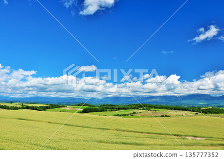 Hokkaido summer blue sky and Biei landscape 135777352