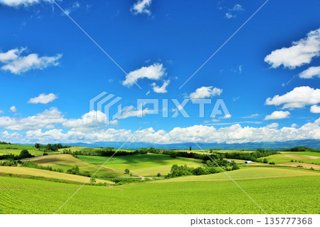 Hokkaido summer blue sky and Biei landscape 135777368