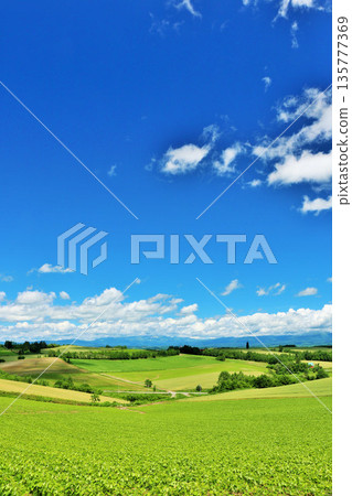 Hokkaido summer blue sky and Biei landscape 135777369
