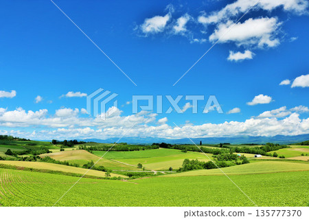 北海道夏天藍天和Biei風景 北海道夏天藍天和Biei風景 135777370