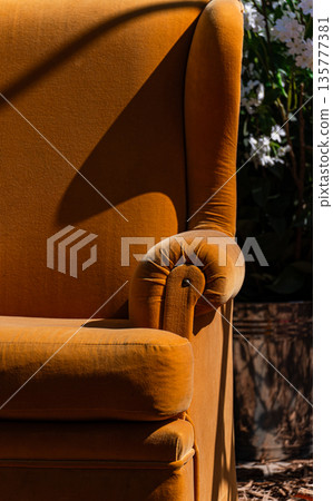Old styled chairs in the garden Old styled chairs in the garden 135777381