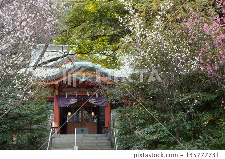 東京都港區芝公園內的芝東照宮 東京都港區芝公園內的芝東照宮 135777731