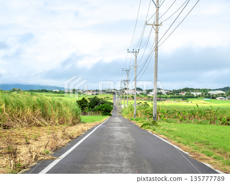 Sugar Road (Kohama Island, Okinawa Prefecture) 135777789