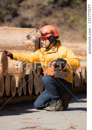 Image of forestry and primary industries with chainsaws. Checking and inspecting logs. Be safe. Image of forestry and primary industries with chainsaws. Checking and inspecting logs. Be safe. 135777877