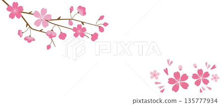 櫻花插圖，櫻花邊框橫幅，春花邊框 135777934