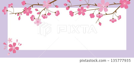Cherry blossom illustration, cherry blossom frame banner, spring flower frame Cherry blossom illustration, cherry blossom frame banner, spring flower frame 135777935