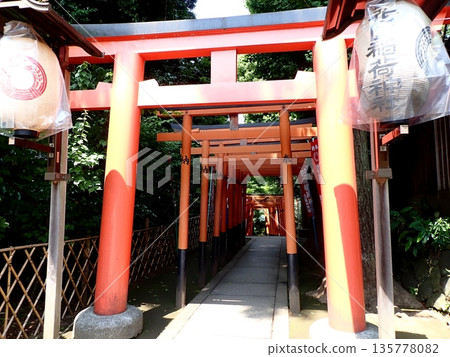 Hanazono Inari神社Torii 135778082