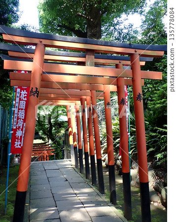 Hanazono Inari shrine Torii Hanazono Inari shrine Torii 135778084