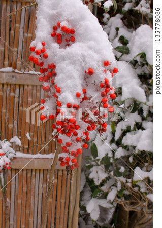 南方的天空的雪 135778086