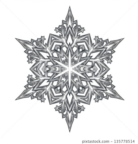 Intricate Black And White Snowflake Design 135778514