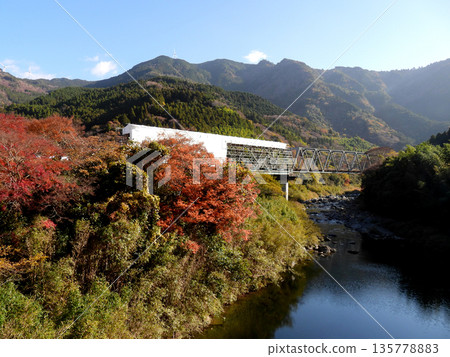A railway bridge undergoing infrastructure construction and autumn leaves 135778883