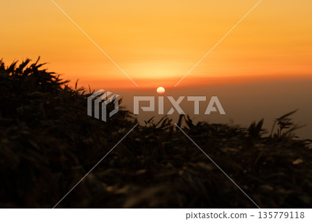 Sunset sunset 135779118