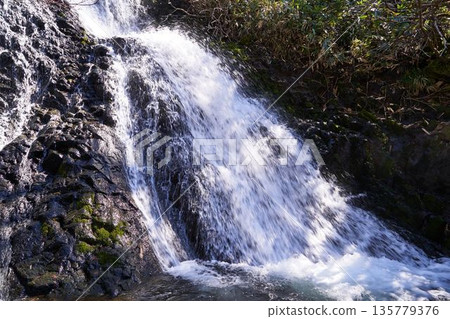 秋田縣小坂町七瀧瀑布 135779376