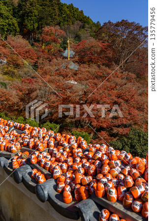 Minoh Park near osaka at autumn time Minoh Park near osaka at autumn time 135779456