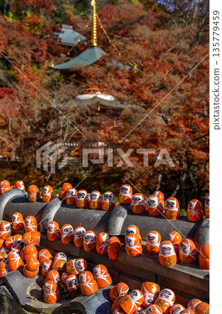 Minoh Park near osaka at autumn time Minoh Park near osaka at autumn time 135779459