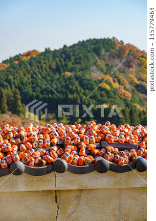 Minoh Park near osaka at autumn time Minoh Park near osaka at autumn time 135779463