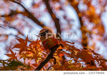 Minoh Park near osaka at autumn time 135779484