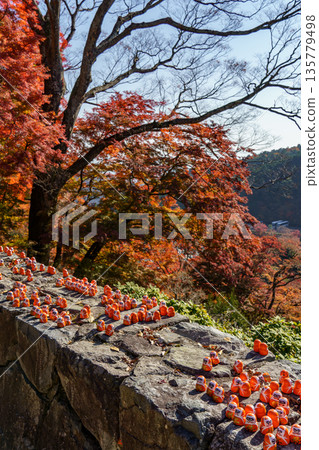 Minoh Park near osaka at autumn time 135779498