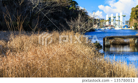 Winter in Koashiro Bay Winter in Koashiro Bay 135780013