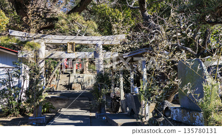 白須神社的冬季,小次郎森林的守護神 白須神社的冬季,小次郎森林的守護神 135780131