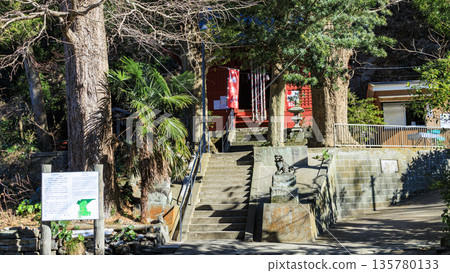 Winter at Shirahige Shrine, the guardian deity of Koajiro Forest Winter at Shirahige Shrine, the guardian deity of Koajiro Forest 135780133