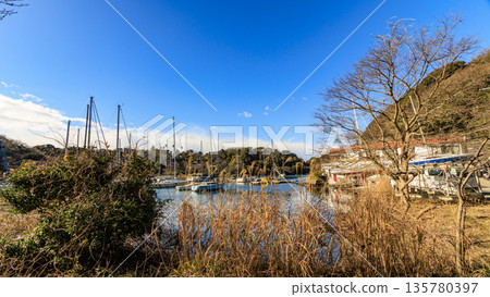 遊艇停泊在遊艇港 遊艇停泊在遊艇港 135780397