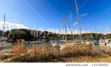 遊艇停泊在遊艇港 135780403
