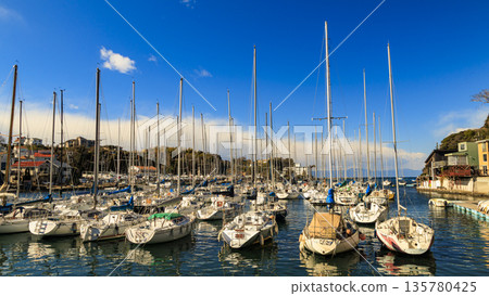遊艇碼頭在藍天的背景下熠熠生輝 135780425