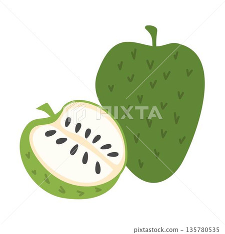 Soursop Fruit Illustration tropical fruit, healthy Soursop Fruit Illustration tropical fruit, healthy 135780535