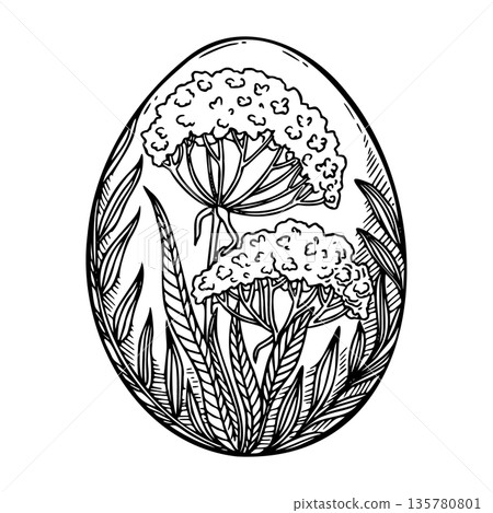 Easter egg painted with wildflower hand drawn sketch. Vintage floral shell vector outline illustration. Use for holiday greeting card design. Perfect for Christian religious and farm themed print. 135780801