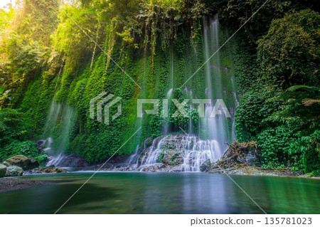Beautiful morning view indonesia Panorama Landscape paddy fields with beauty color and sky natural light Beautiful morning view indonesia Panorama Landscape paddy fields with beauty color and sky natural light 135781023