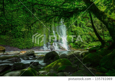 Beautiful morning view indonesia Panorama Landscape paddy fields with beauty color and sky natural light Beautiful morning view indonesia Panorama Landscape paddy fields with beauty color and sky natural light 135781069
