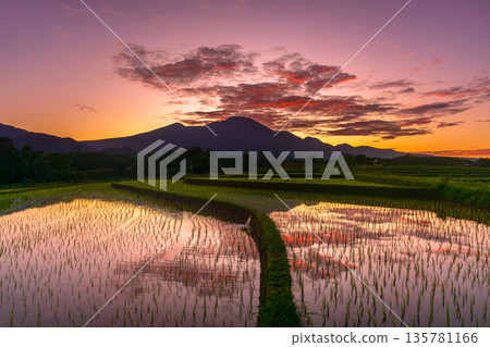 Beautiful morning view indonesia Panorama Landscape paddy fields with beauty color and sky natural light Beautiful morning view indonesia Panorama Landscape paddy fields with beauty color and sky natural light 135781166