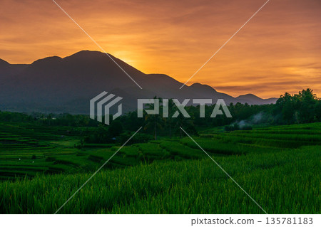 Indonesia's extraordinary natural scenery. sunny morning sunrise view in the rice fields 135781183