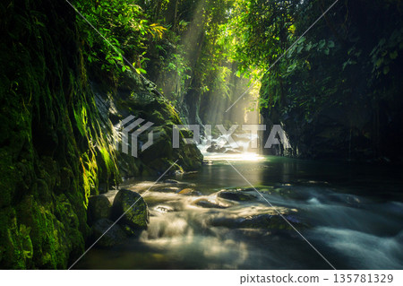 morning sunrise at paddy fields in north bengkulu asia indonesia, beauty color and sky natural light morning sunrise at paddy fields in north bengkulu asia indonesia, beauty color and sky natural light 135781329