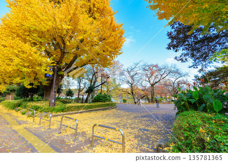 東京台東區上野公園不忍水池的秋葉 東京台東區上野公園不忍水池的秋葉 135781365