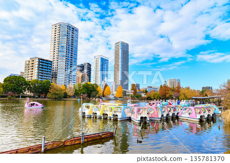 東京台東區上野公園不忍水池的秋葉 東京台東區上野公園不忍水池的秋葉 135781370