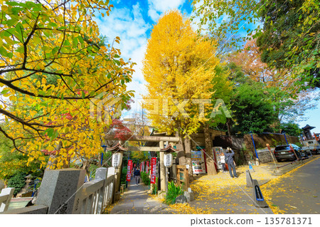 東京台東區上野公園的秋葉 東京台東區上野公園的秋葉 135781371