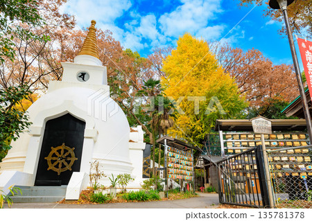 東京台東區上野公園的秋葉 135781378