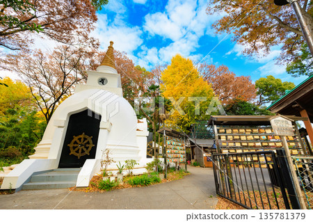 Autumn leaves at Ueno Park, Taito Ward, Tokyo Autumn leaves at Ueno Park, Taito Ward, Tokyo 135781379