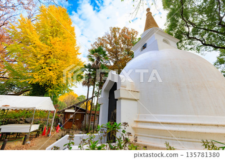 東京台東區上野公園的秋葉 東京台東區上野公園的秋葉 135781380