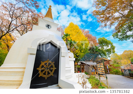 東京台東區上野公園的秋葉 135781382