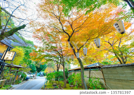 東京台東區上野公園的秋葉 東京台東區上野公園的秋葉 135781397