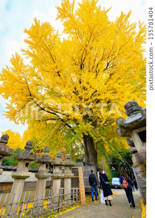 東京台東區上野公園的秋葉 東京台東區上野公園的秋葉 135781404